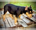 Small #1 Breeder Profile image