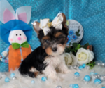 Small #15 Breeder Profile image