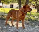 Small Photo #7  Breeder Profile in BLUFF DALE, TX, USA
