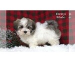 Small #11 Breeder Profile image