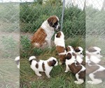 Small Photo #1  Breeder Profile in SPENCERVILLE, IN, USA