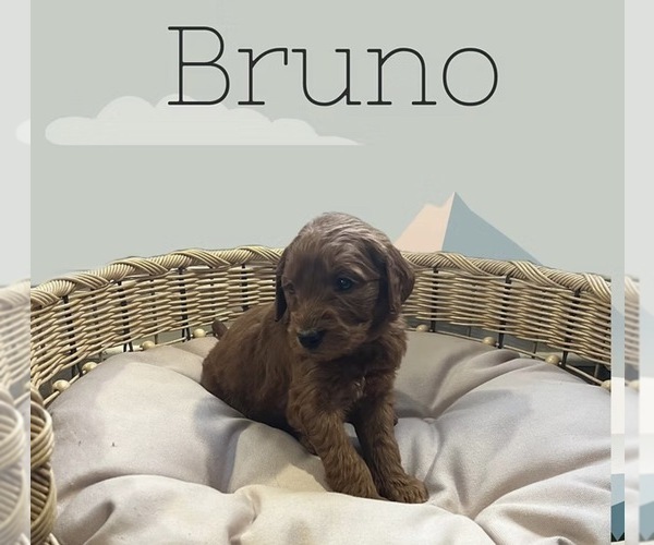 Medium Photo #6  Breeder Profile in LA GRANGE, KY, USA