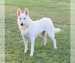 Small #7 Breeder Profile image