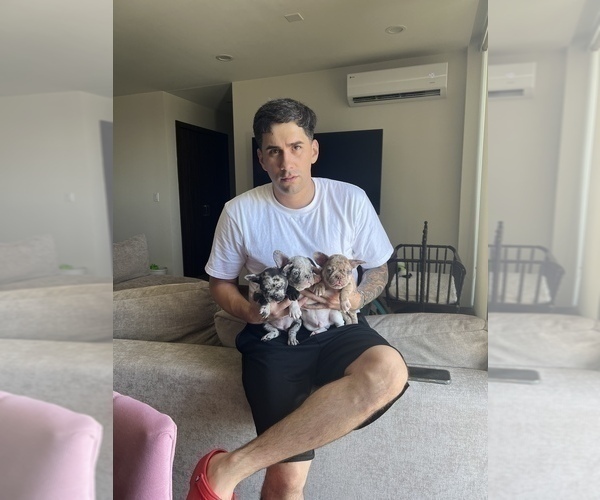 Medium Photo #1  Breeder Profile in SAN DIEGO, CA, USA