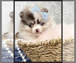 Small #5 Breeder Profile image