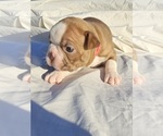 Small #4 Breeder Profile image