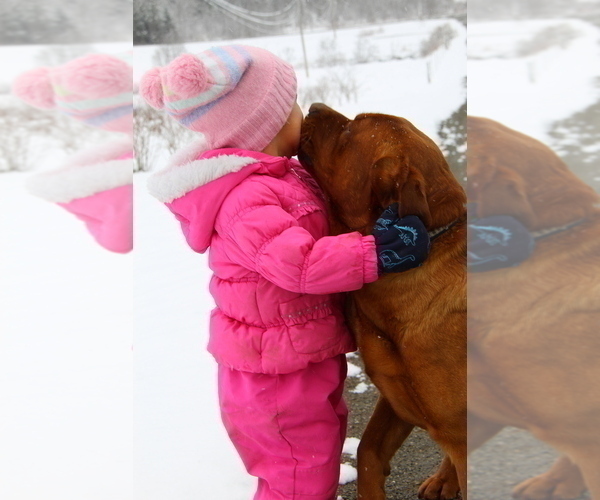 Medium Photo #19  Breeder Profile in HYDE PARK, VT, USA