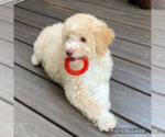 Small #11 Breeder Profile image