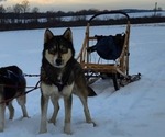 Small #6 Breeder Profile image