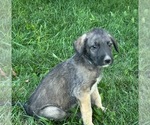 Small #1 Breeder Profile image