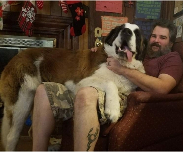 Medium Photo #1  Breeder Profile in FAYETTEVILLE, NC, USA