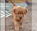 Small #6 Breeder Profile image