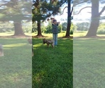 Small #20 Breeder Profile image