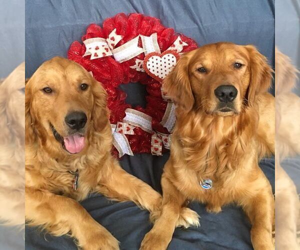 Medium Photo #3  Breeder Profile in COULEE CITY, WA, USA