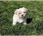 Small #3 Breeder Profile image