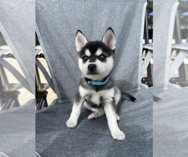 Medium Photo #1  Breeder Profile in LA CROSSE, WI, USA