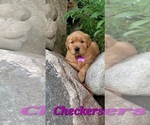 Small #24 Breeder Profile image