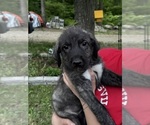 Small #32 Breeder Profile image