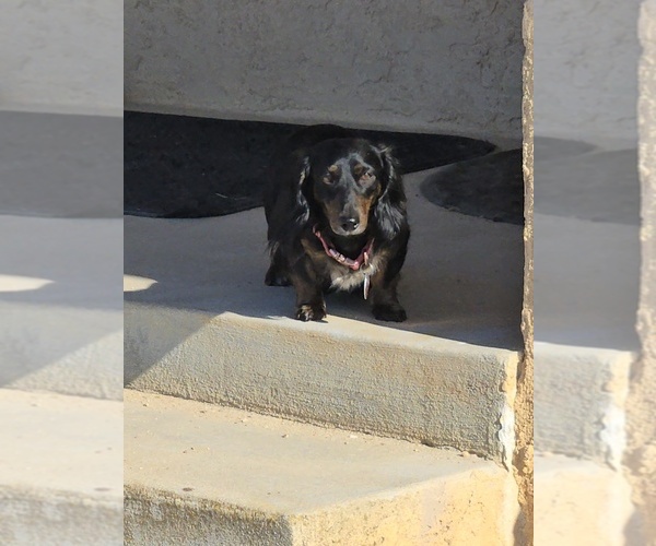 Medium Photo #4  Breeder Profile in PASO ROBLES, CA, USA