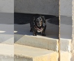 Small #3 Breeder Profile image