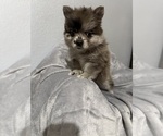 Small #2 Breeder Profile image