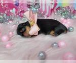 Small #29 Breeder Profile image