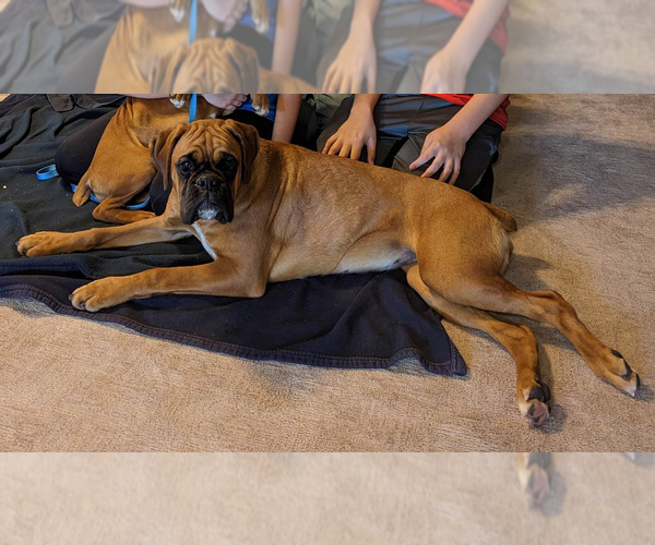Medium Photo #5  Breeder Profile in SHERRILL, IA, USA