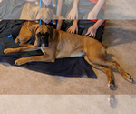 Small #4 Breeder Profile image