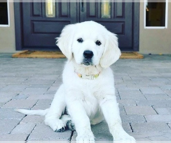 Medium Photo #12  Breeder Profile in MEDFORD TOWNSHIP, NJ, USA