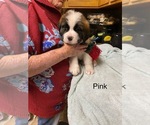 Small #8 Breeder Profile image