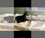 Small #3 Breeder Profile image
