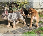 Small #67 Breeder Profile image