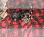 Small #352 Breeder Profile image