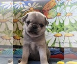 Small #17 Breeder Profile image