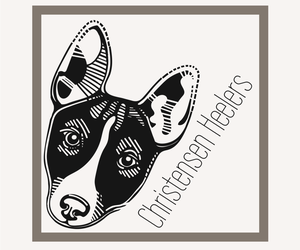 Australian Cattle Dog Dog Breeder near MOUNT PLEASANT, UT, USA