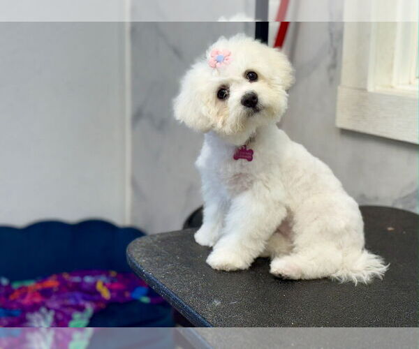 Medium Photo #17  Breeder Profile in PICKFORD, MI, USA