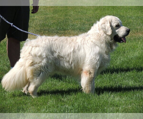 Medium Photo #11  Breeder Profile in ELLENSBURG, WA, USA