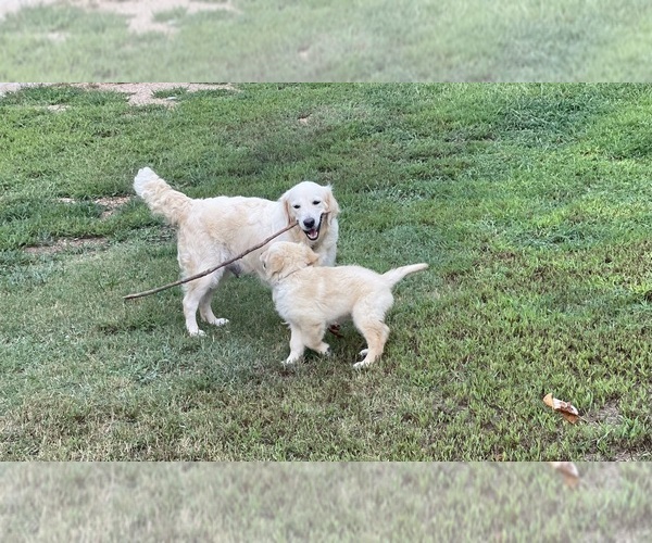 Medium Photo #9  Breeder Profile in FAIR PLAY, SC, USA