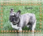 Small #5 Breeder Profile image