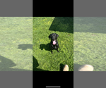 Small #30 Breeder Profile image