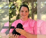 Small #1 Breeder Profile image
