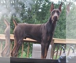 Small #6 Breeder Profile image