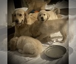 Small #7 Breeder Profile image
