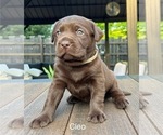 Small #5 Breeder Profile image