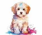 Small breeder photo