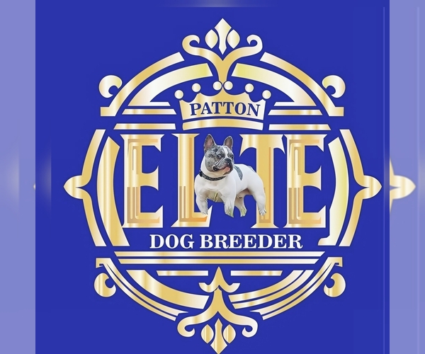 Medium Photo #1  Breeder Profile in BROKEN ARROW, OK, USA