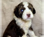 Small #11 Breeder Profile image