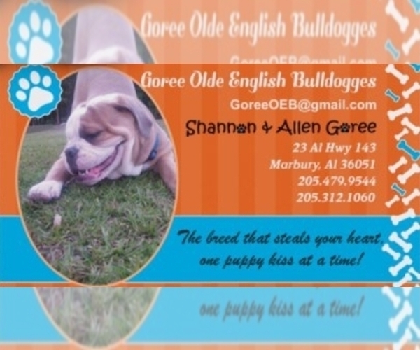 Medium Photo #1  Breeder Profile in MARBURY, AL, USA