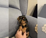 Small #14 Breeder Profile image