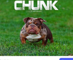 Small #5 Breeder Profile image